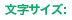 文字サイズ