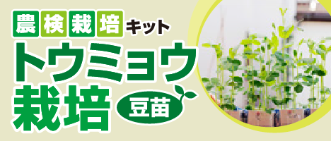 栽培キットのご紹介