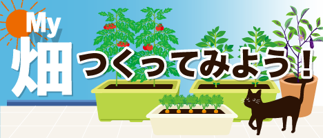 My畑の作り方